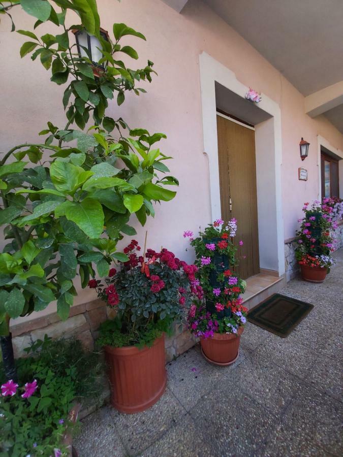 Il Ritrovo Delle Volpi Bed & Breakfast Agerola Exterior photo